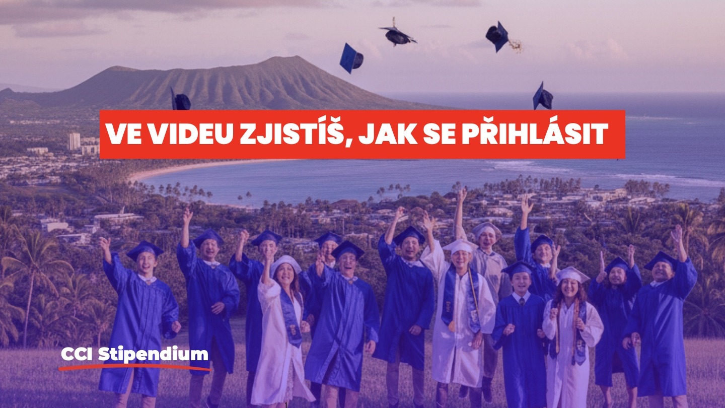 Přehrát video